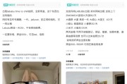 事业运势闲鱼：LABUBU搜索量环比上涨1000%，供不应求下现租赁新形式
