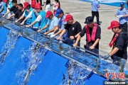 事业运势2025年全国水生生物同步增殖放流活动在福建举行